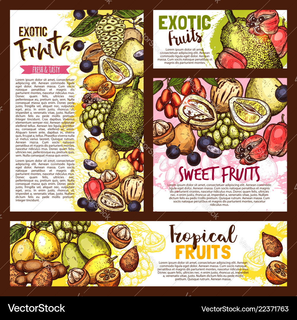 Exotic tropical fruits sketch Exotic tropical fruits sketch vector image