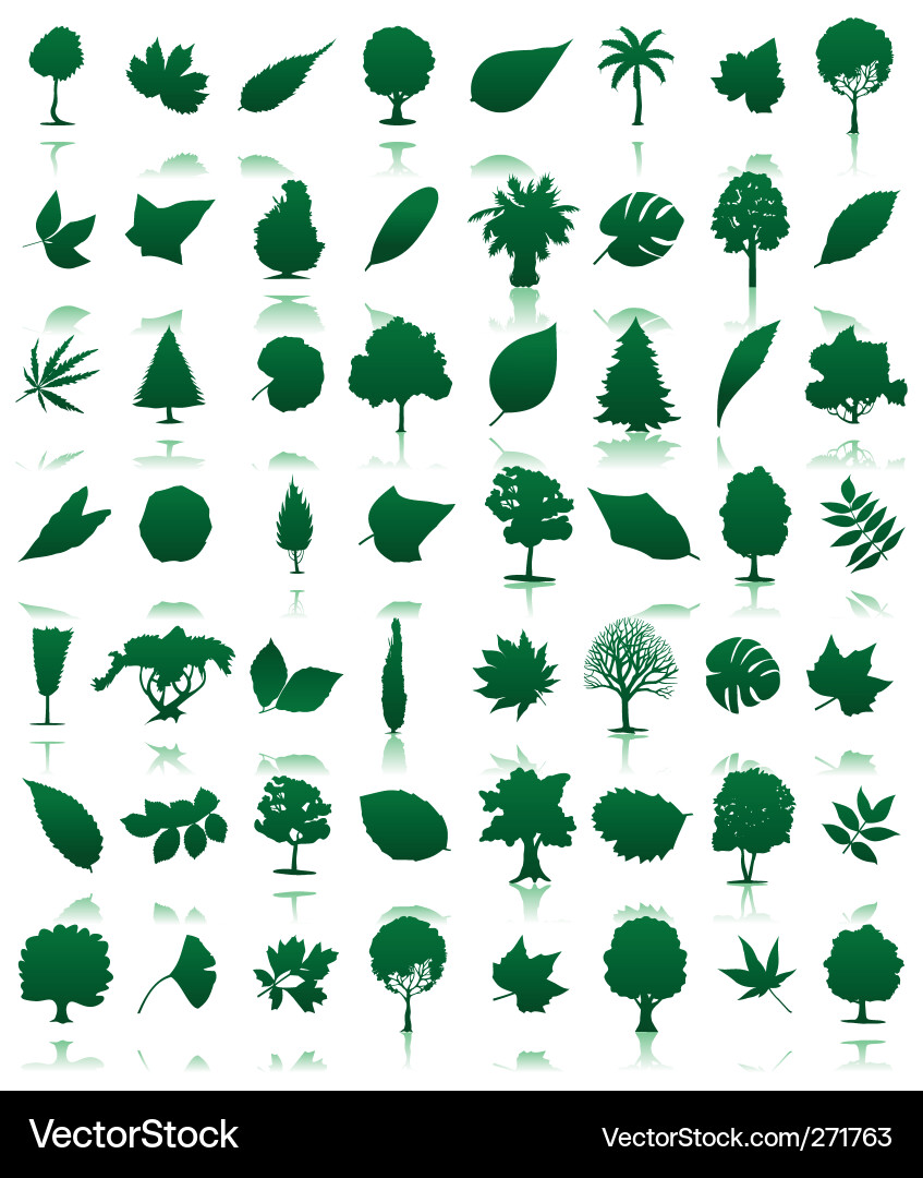Tree Icons Set vector image