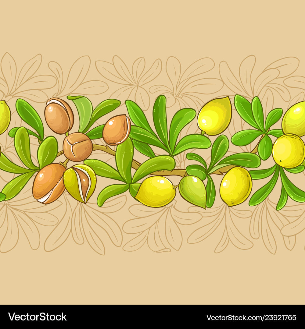 Argan branches pattern on color background Argan branches pattern on color background vector image