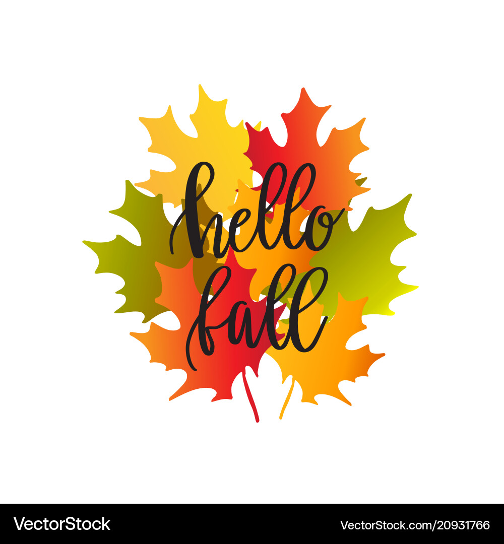 Bouquet of autumn maple leaves Bouquet of autumn maple leaves vector image