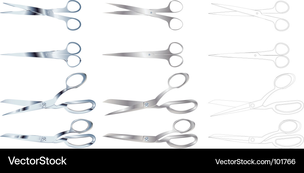 Scissors vector image