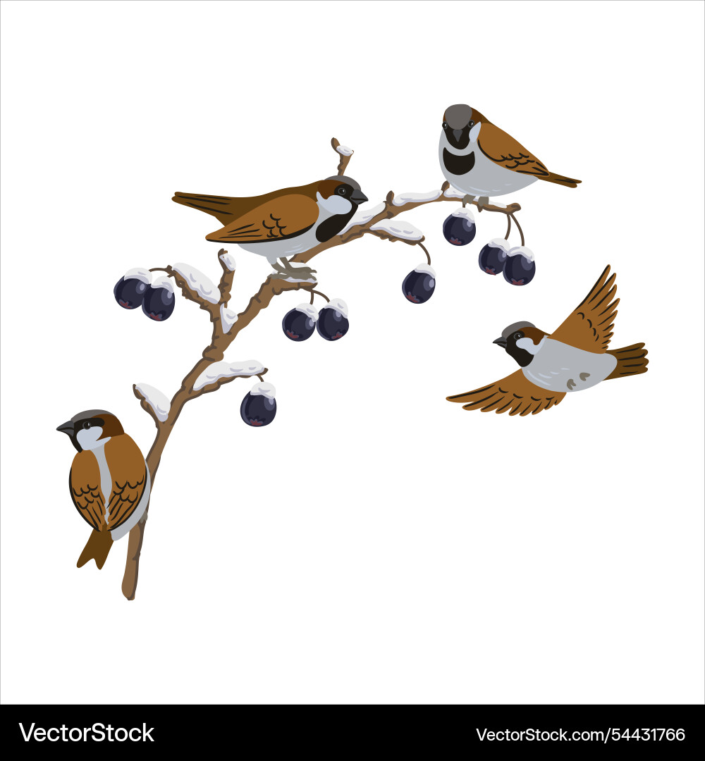 Tree branch with berries in winter Tree branch with berries in winter vector image