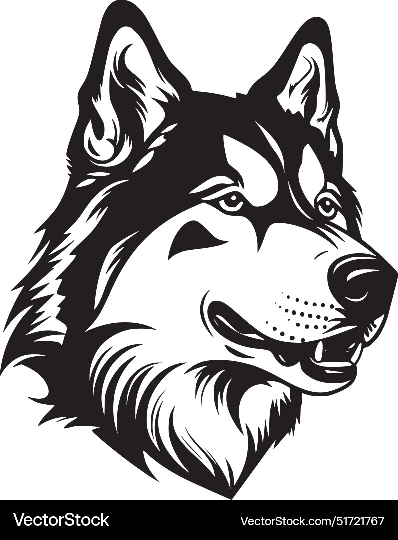 Sibirisches Husky - schwarzes und weißes isoliertes Ikone Sibirisches Husky - schwarzes und weißes isoliertes Ikone vektorbild