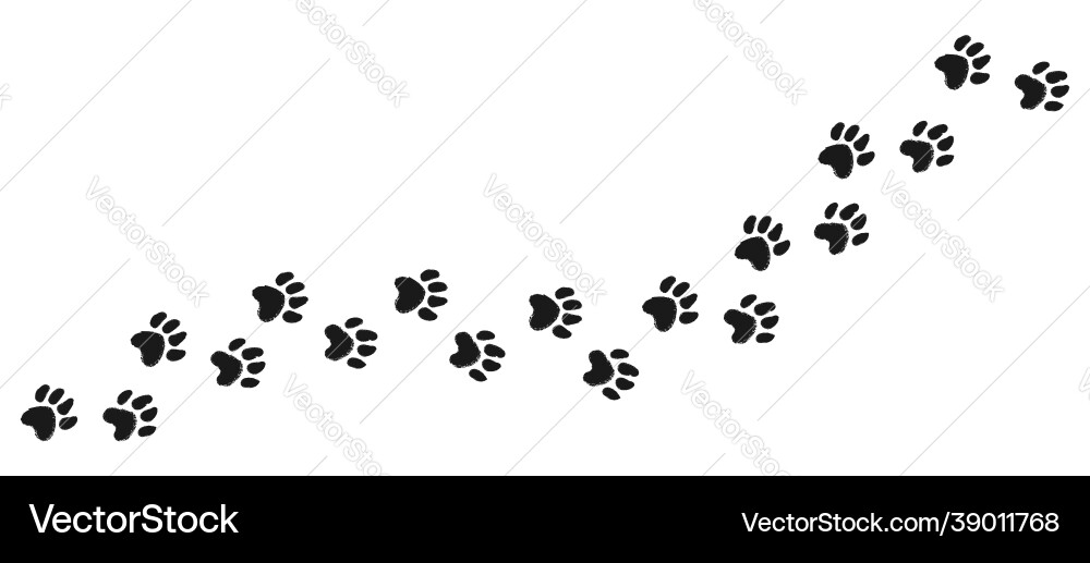 Animal Paw Prints Trail vector image