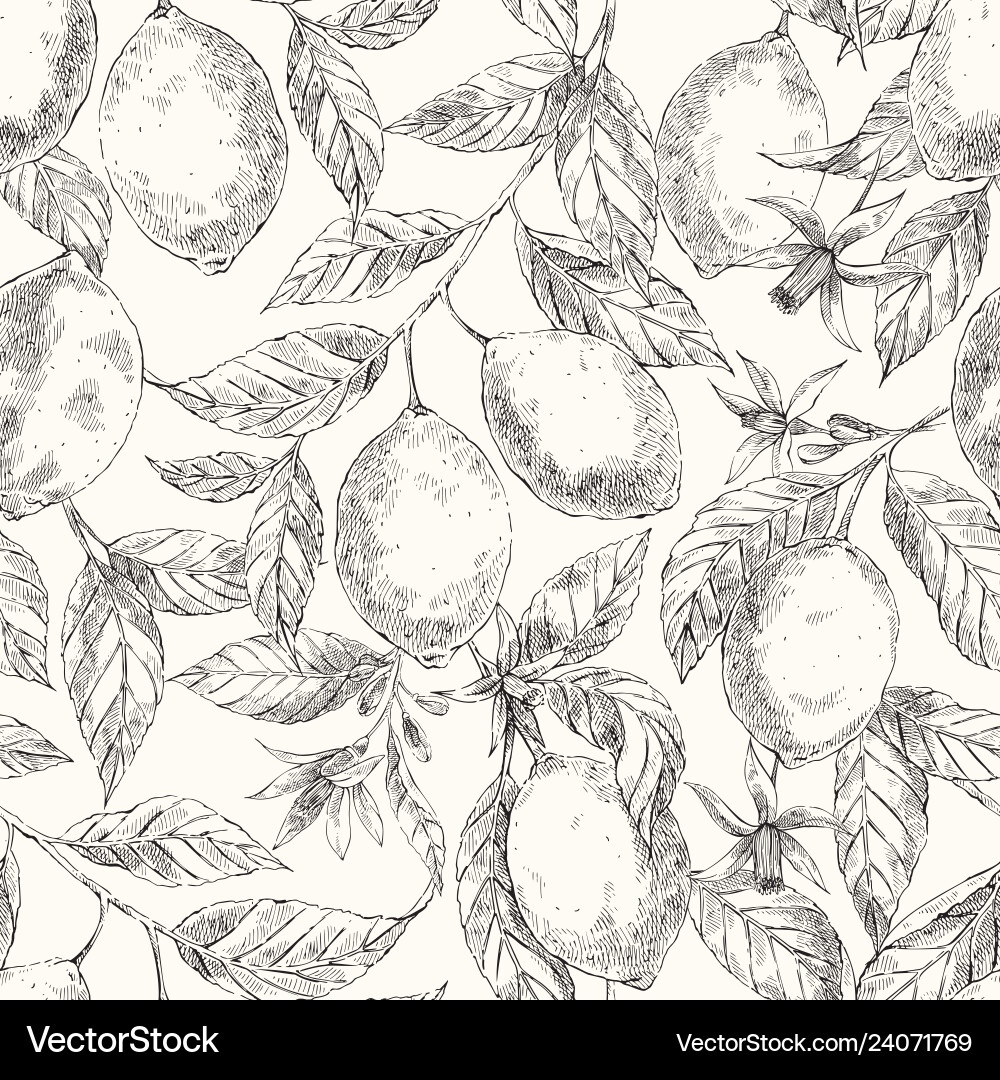 Lemon Sketch Pattern Vector Image