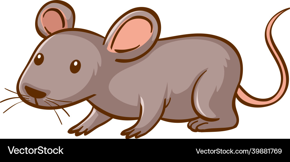 Maus Tier Cartoon auf weißem Hintergrund Maus Tier Cartoon auf weißem Hintergrund Vektorbild