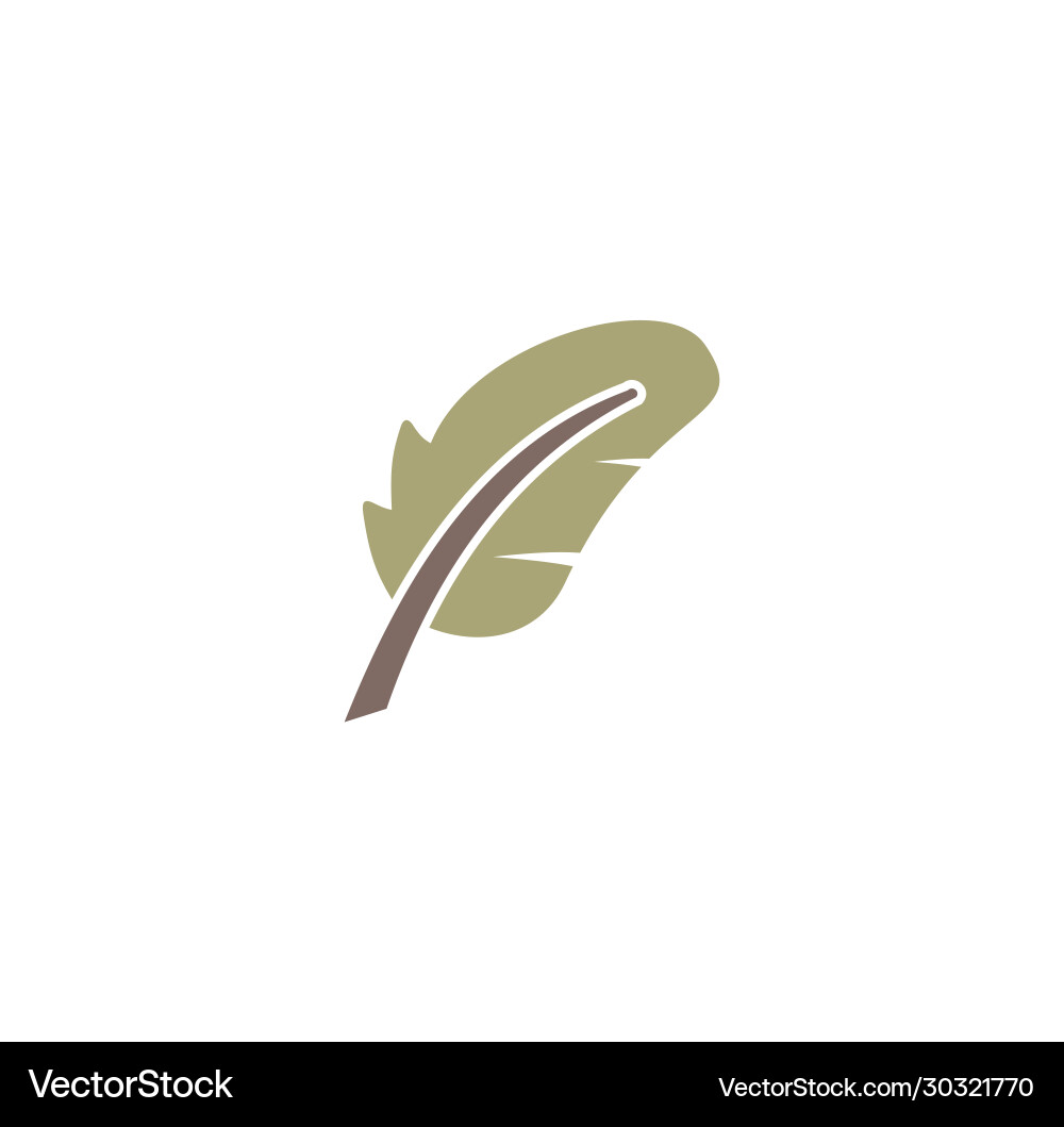 Feather icon on background for graphic and web Feather icon on background for graphic and web vector image