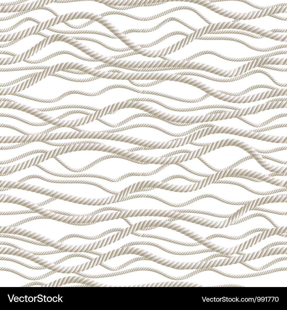 Rope Pattern Seamless Texture Vector Image