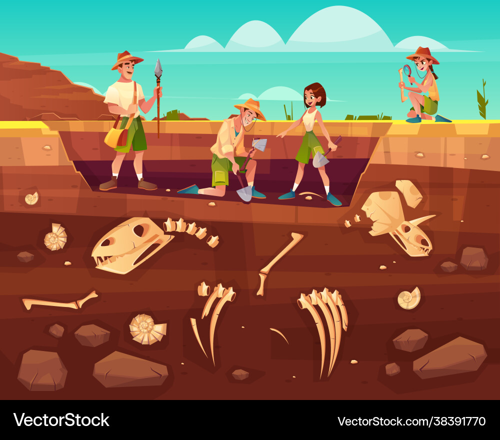 Scientists exploring fossils on excavations Scientists exploring fossils on excavations vector image