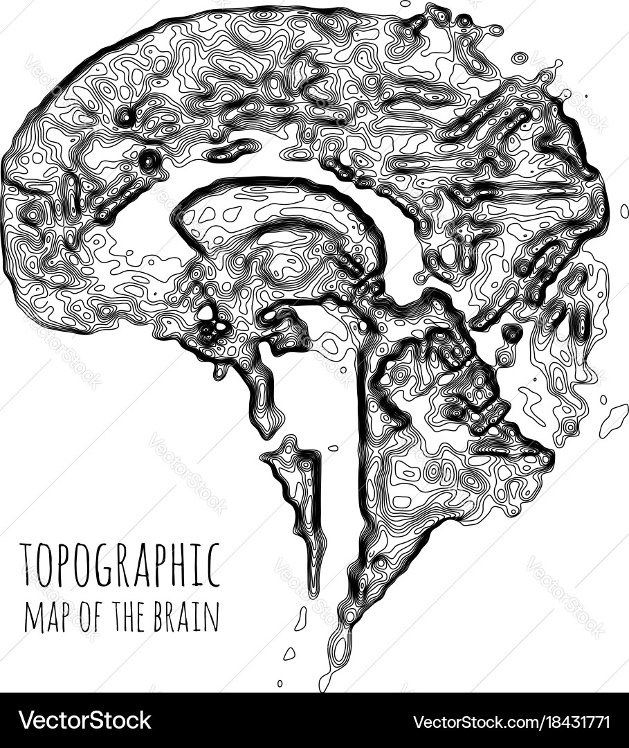 Brain Topography: Neural Map vector image