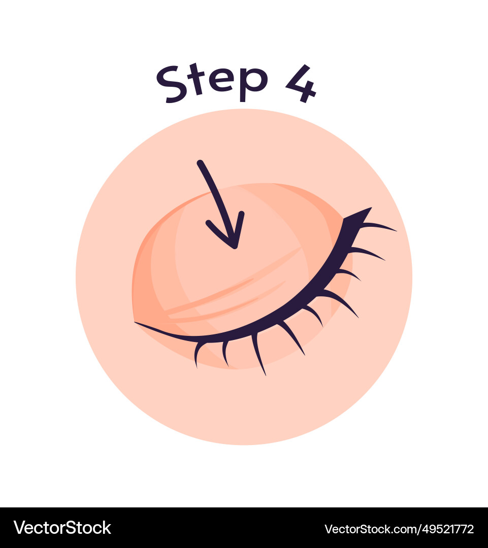 How to properly insert lens infographic Vector Image