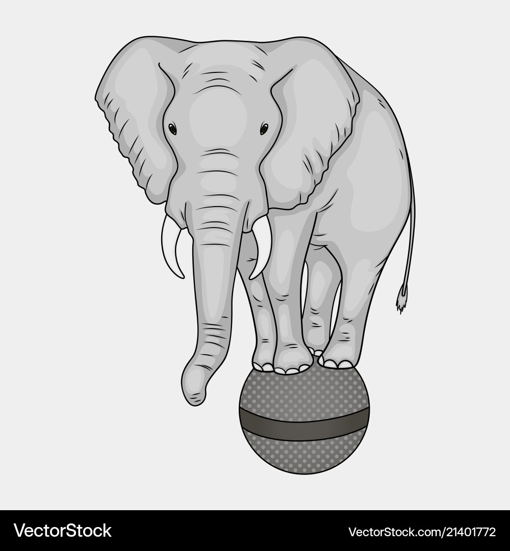 Isolated object on white background a circus Isolated object on white background a circus vector image