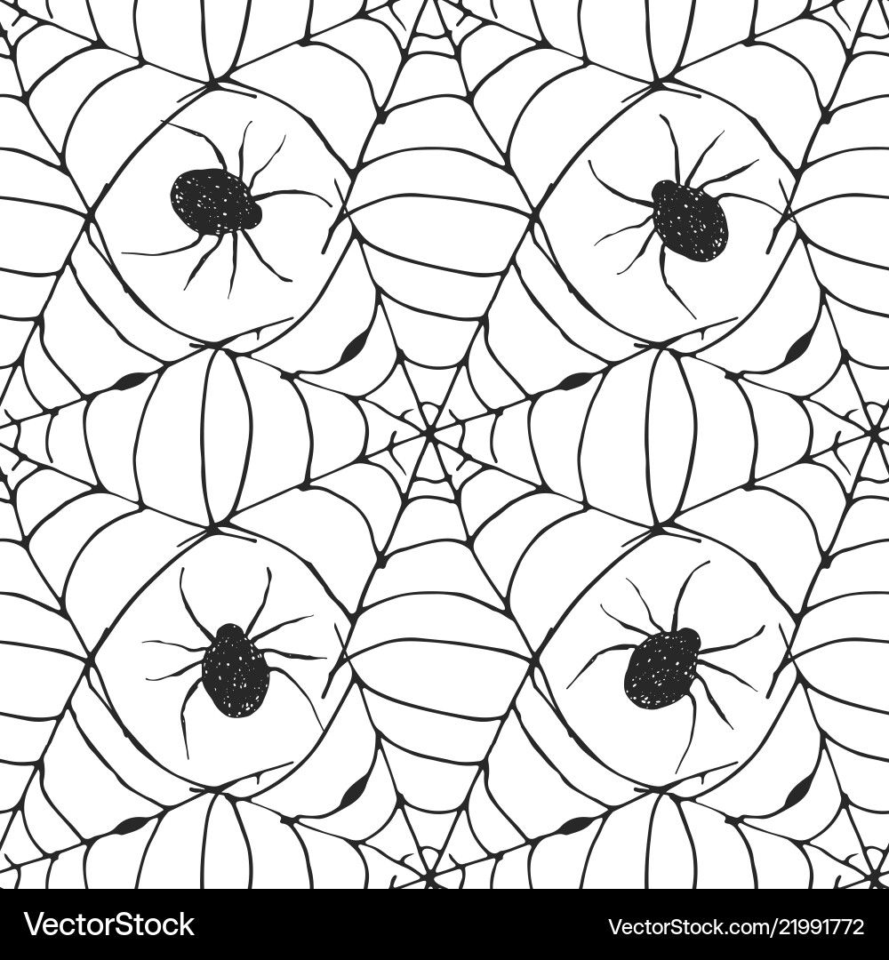 Spider web seamless pattern hand drawn sketched Spider web seamless pattern hand drawn sketched Vector Image