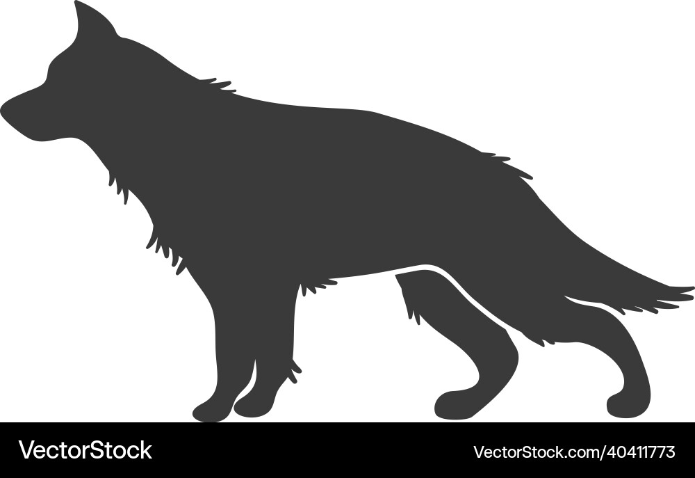 German shepherd silhouette sharp eared dog jack German shepherd silhouette sharp eared dog jack vector image