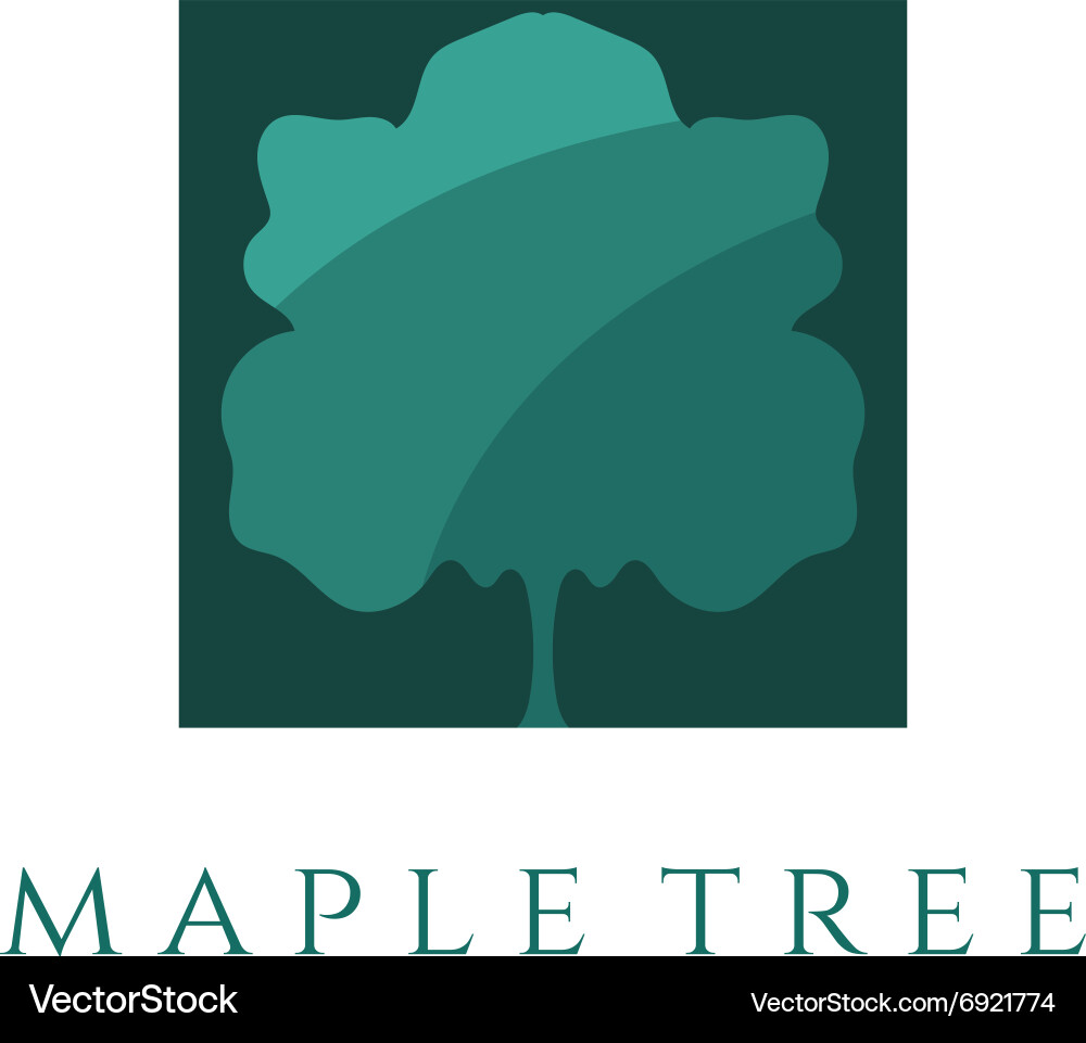 Abstract maple tree design template vector image