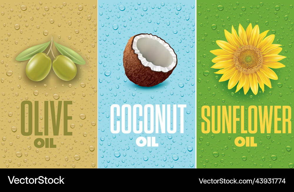 Coconut olive and sunflower food oil labels vector image