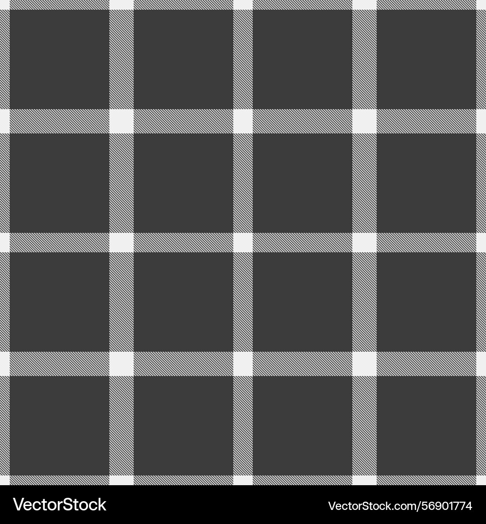 Graceful texture pattern warmth seamless check Vector Image