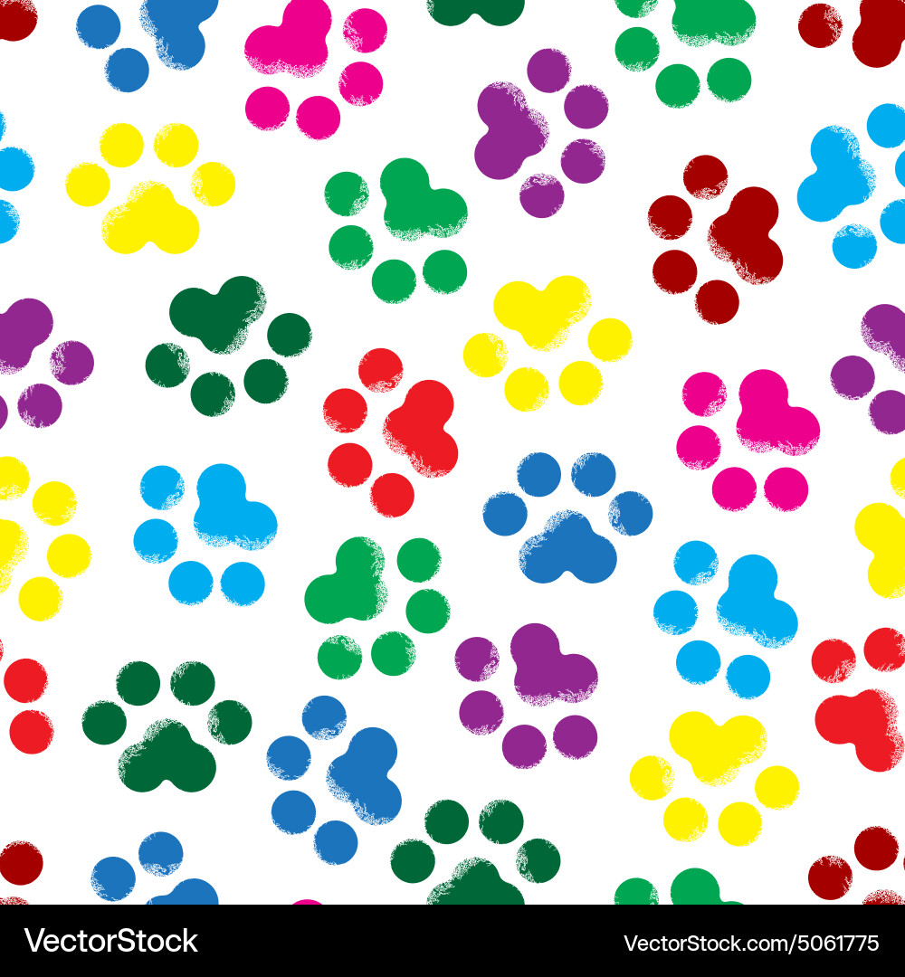 Animal Footprint Pattern vector image