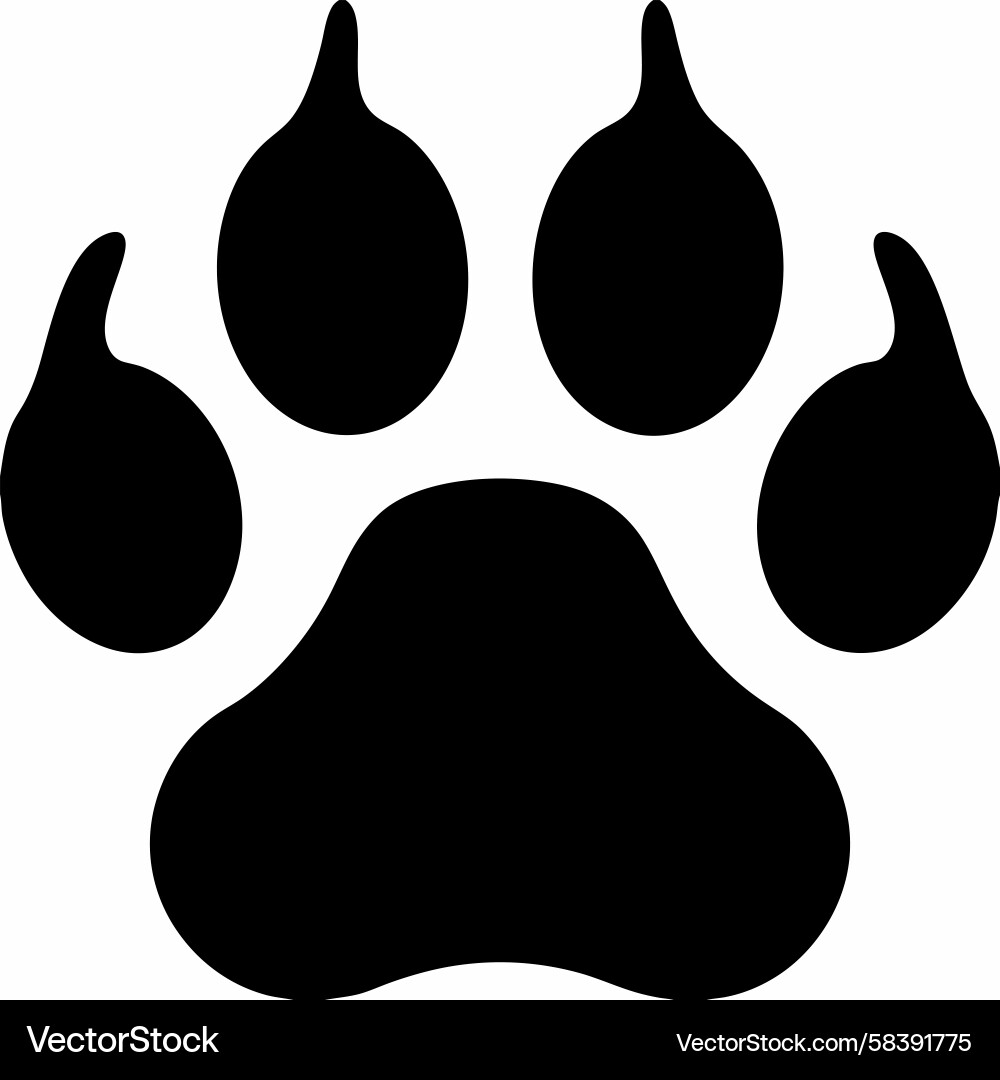 Black Paw Print with Sharp Claws Vector Image
