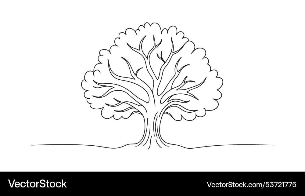 Yew tree isolated continuous line art flat Vector Image