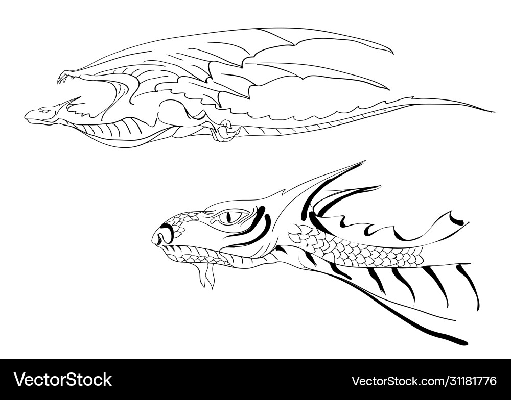 Dragon and head Vector Image