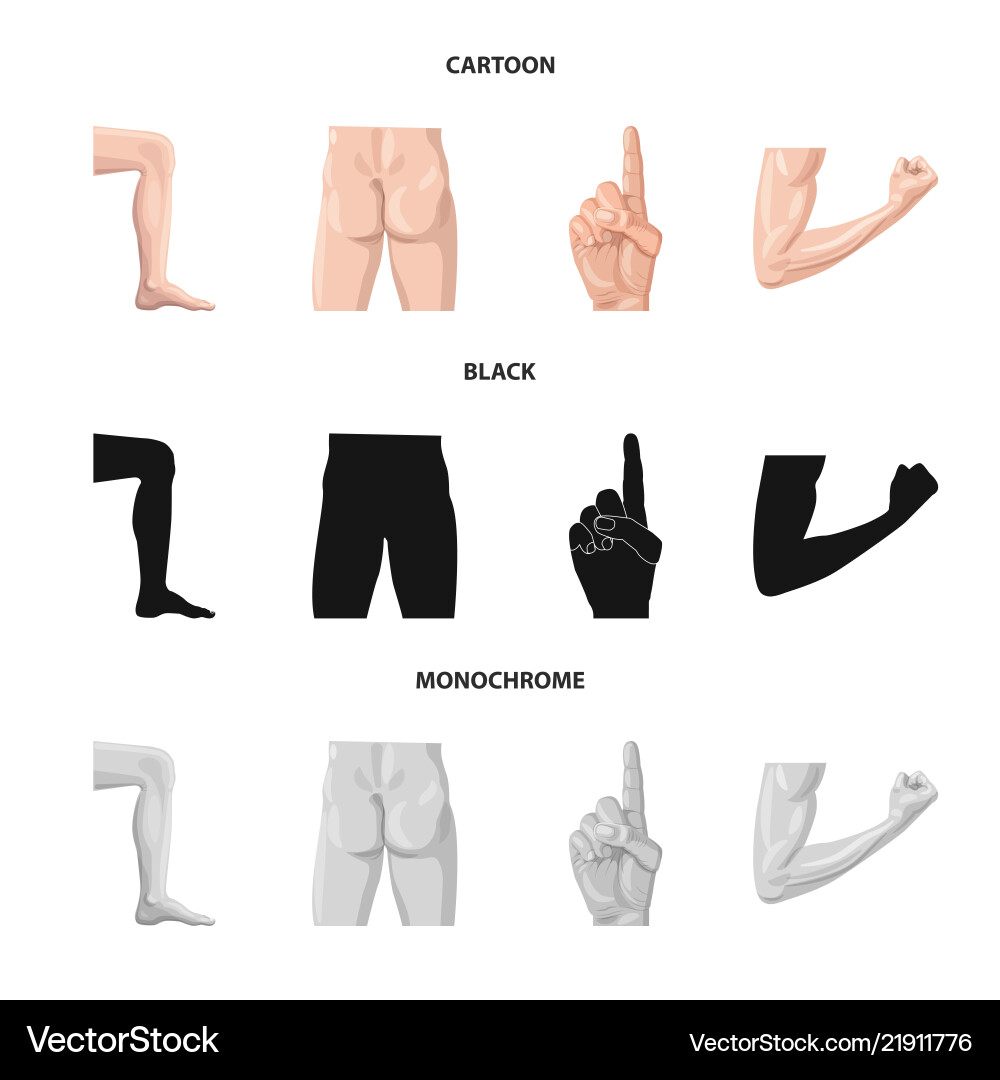 Isolated object of human and part symbol set Vector Image