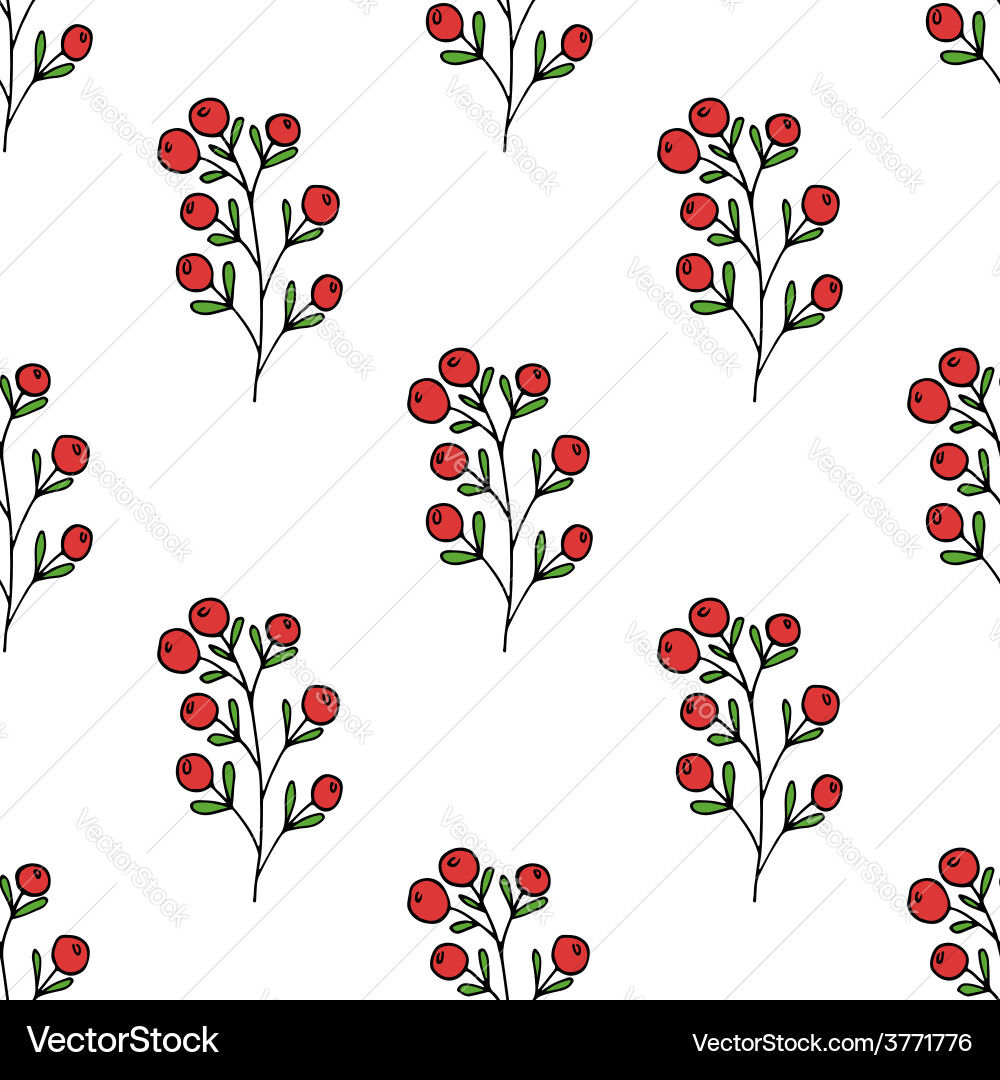 Seamless pattern with berries vector image