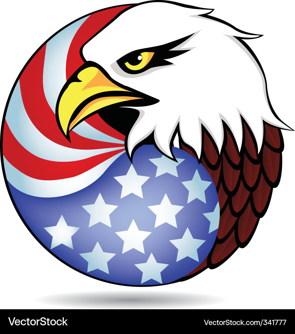 American Eagle Head Symbol vector image