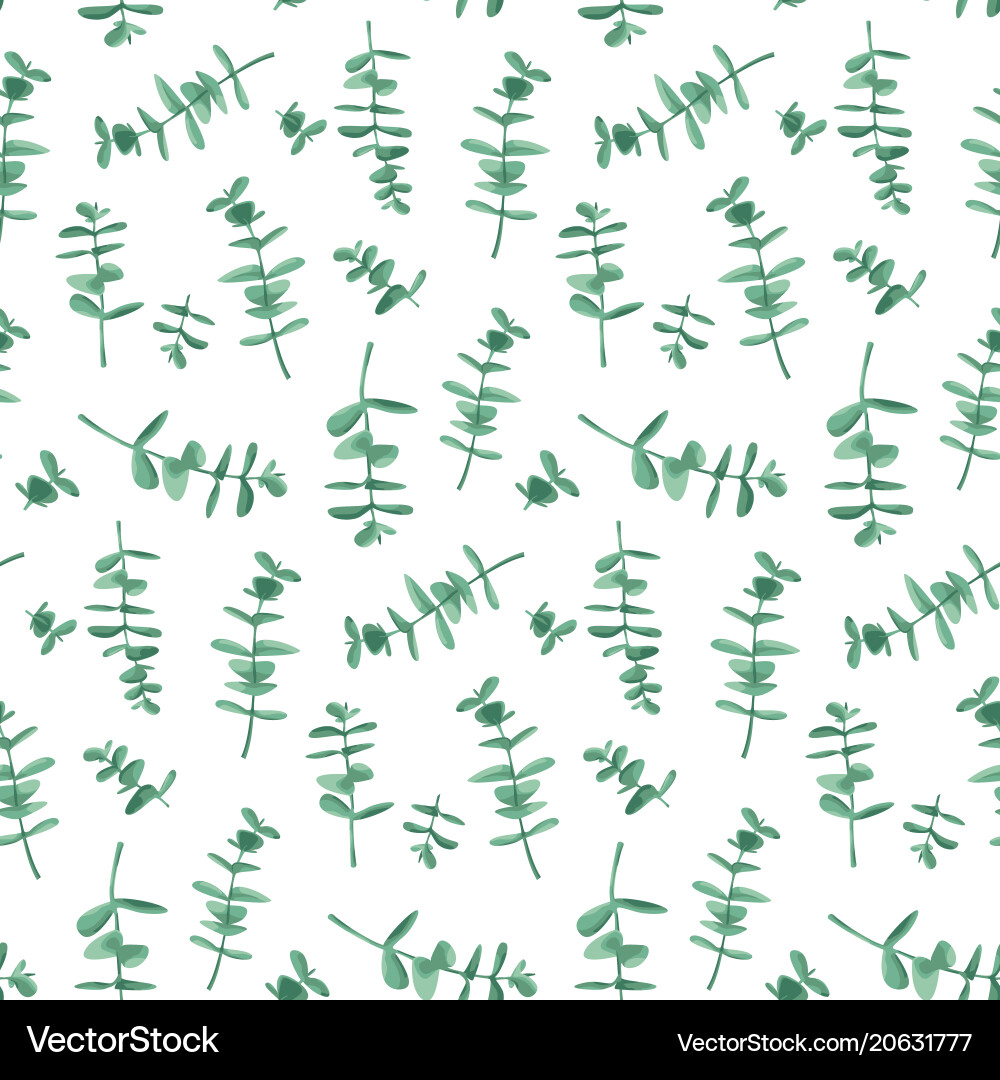 Eucalyptus Leaf Pattern Vector Image