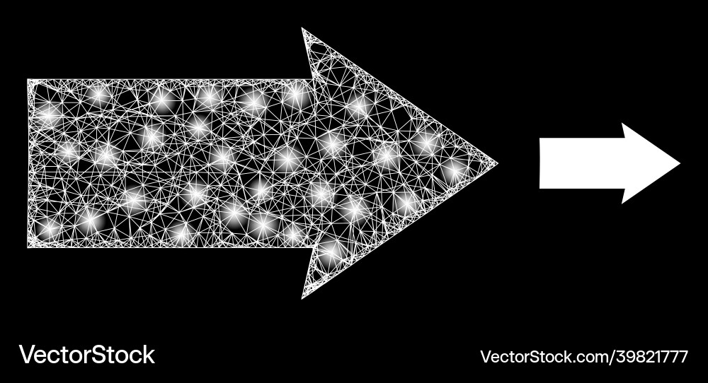 Polygonal network mesh right direction with glare Polygonal network mesh right direction with glare vector image