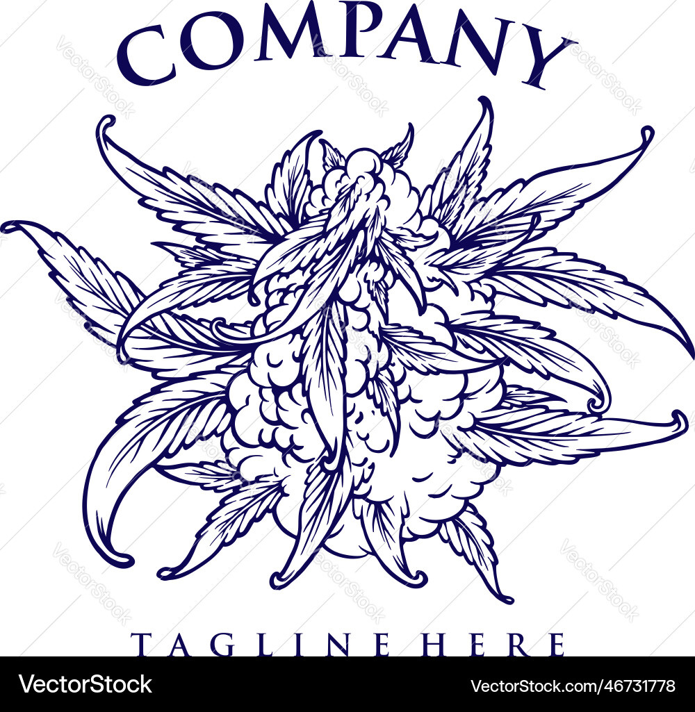 Cannabis Knospenpflanze Firma Maskottchensilhouette Cannabis Knospenpflanze Firma Maskottchensilhouette vektorbild