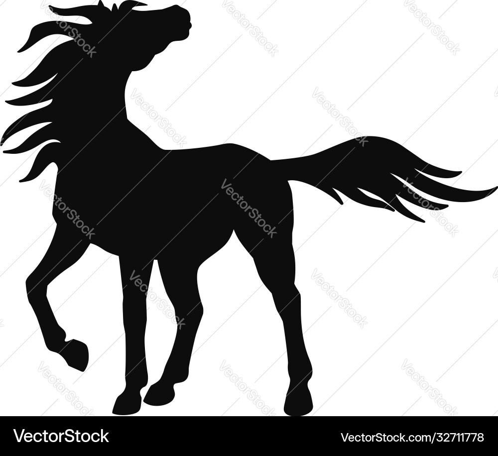 Elegant Horse Silhouette vector image
