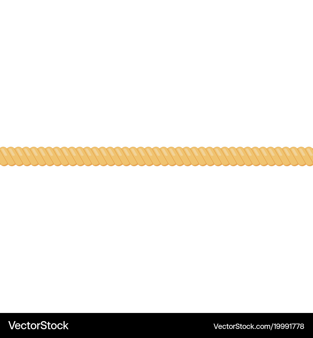 Rope String Detail vector image