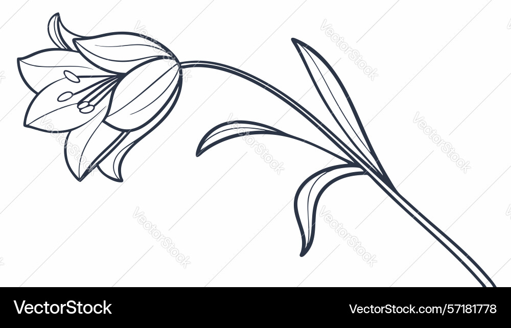 Two tulips on stem line art design generative ai Vector Image