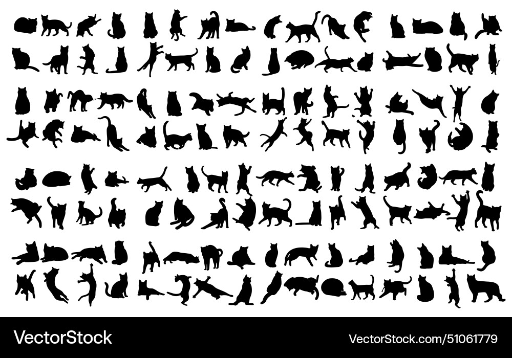 Cat Shadow Collection - Silhouettes Vector Image