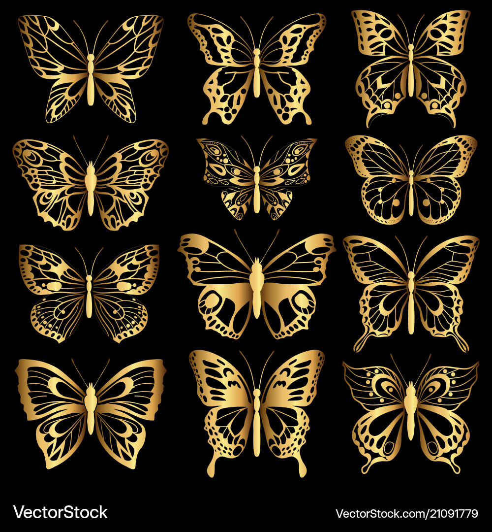 Golden Butterfly Silhouettes vector image