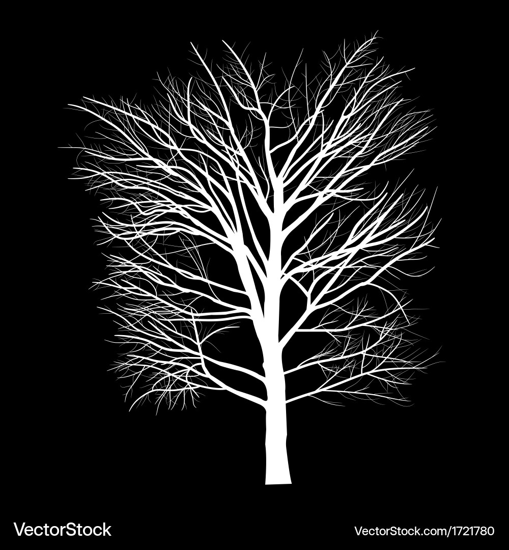 Trees with dead branch Vector Image