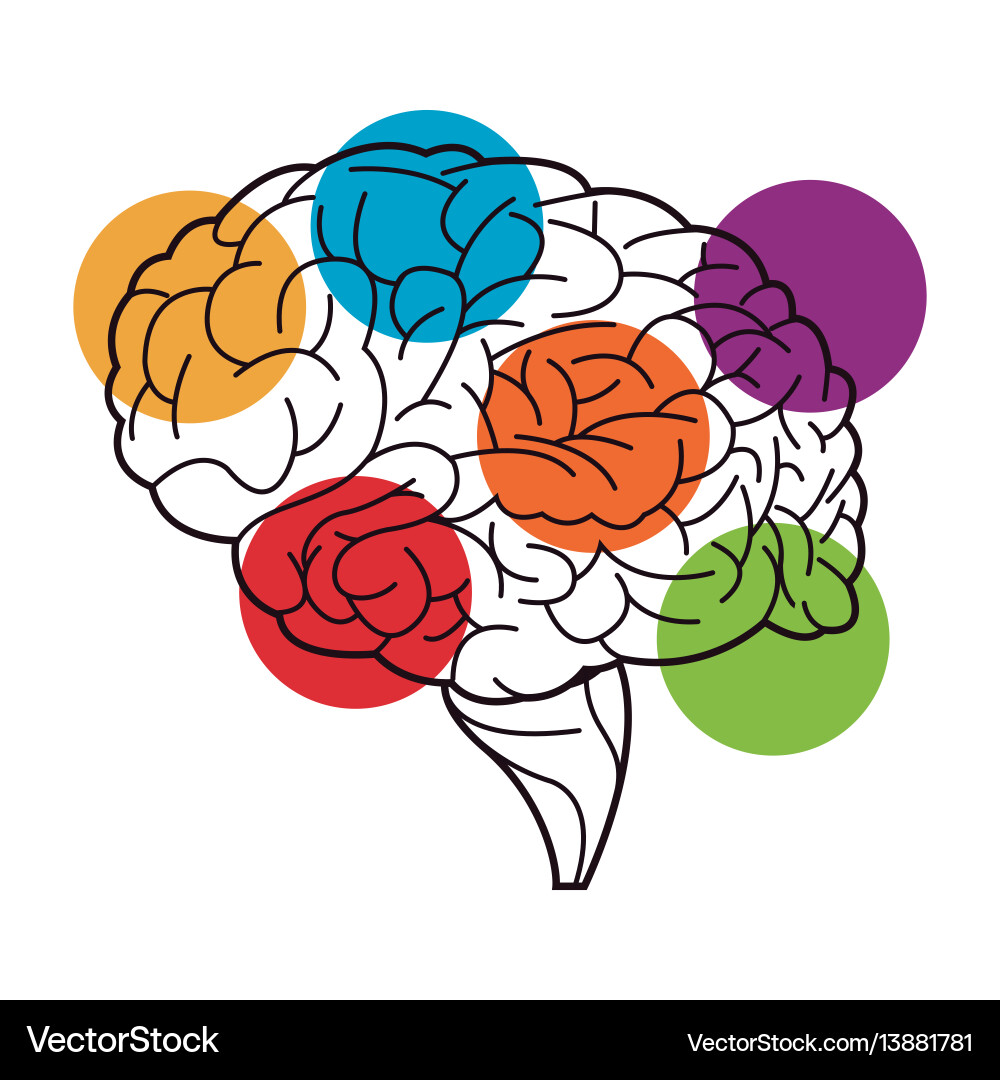 Human brain process functions image Human brain process functions image vector image