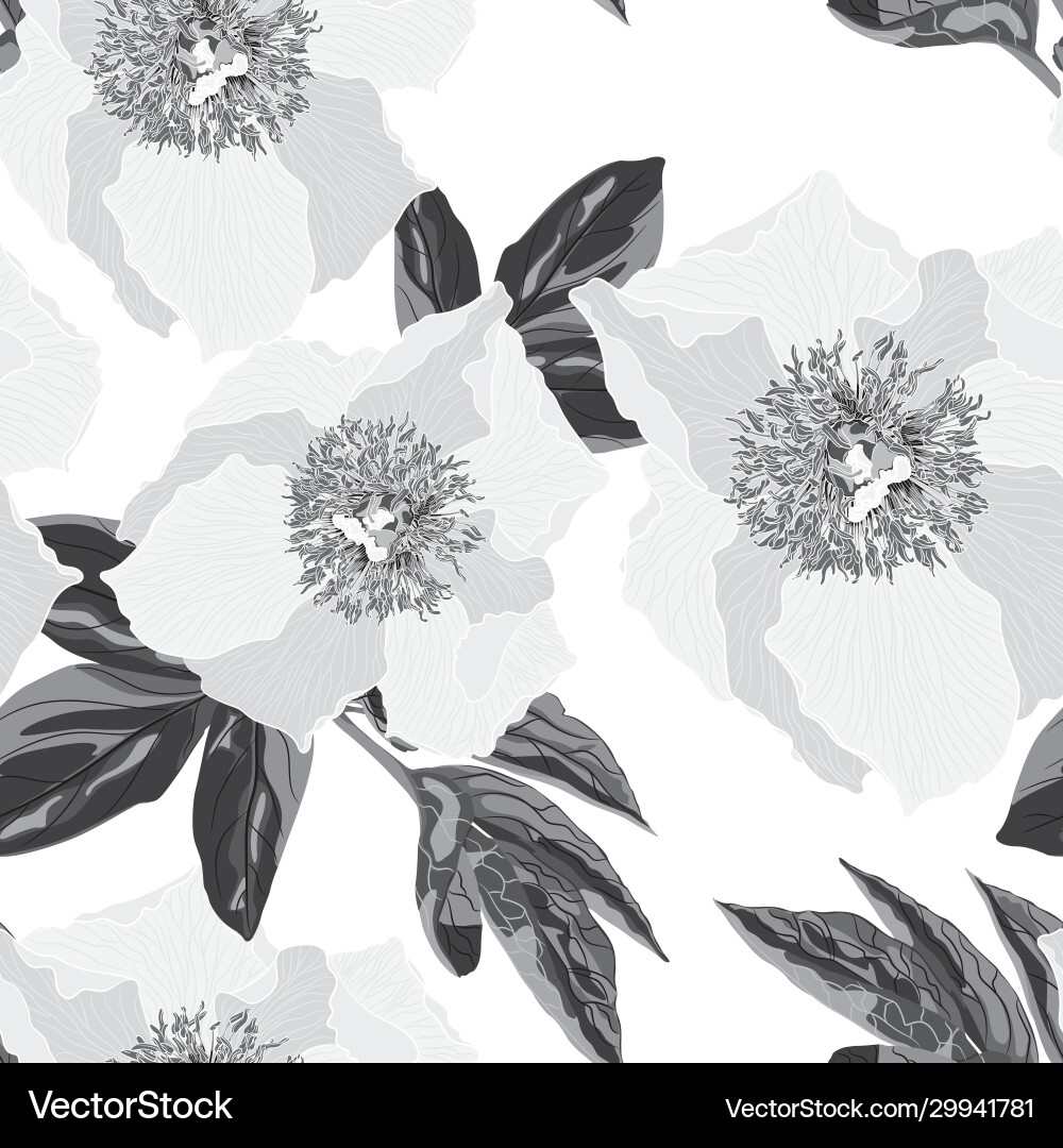 Peony flower seamless monochrome pattern vector image