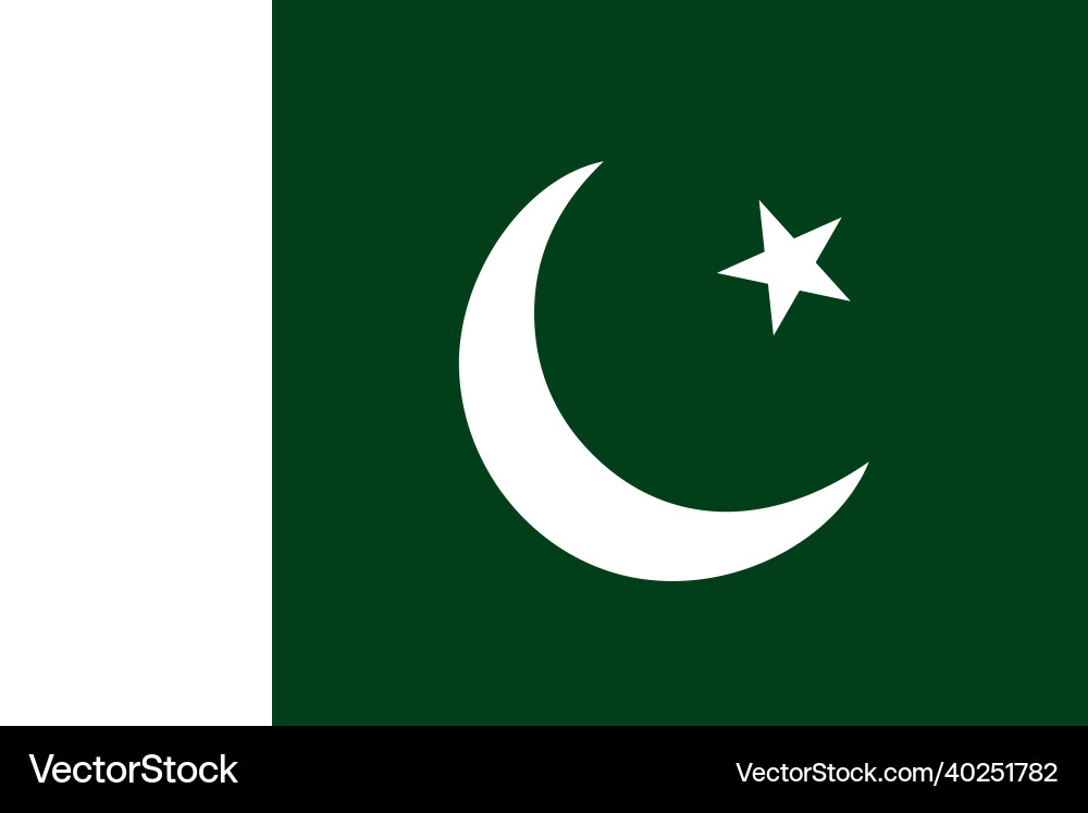 Pakistan Flagge - originelle Farben und Proportionen Pakistan Flagge - originelle Farben und Proportionen vektorbild