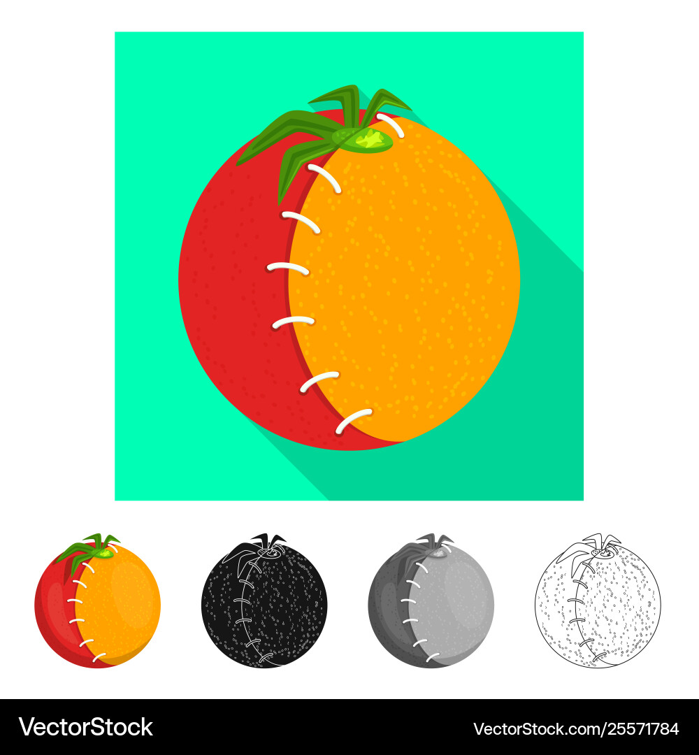 Isolated object tomato and gmo icon set Vector Image