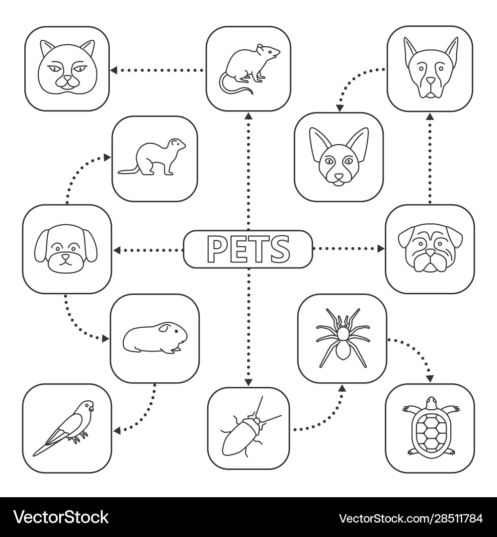 Pets mind map with linear icons Pets mind map with linear icons vector image