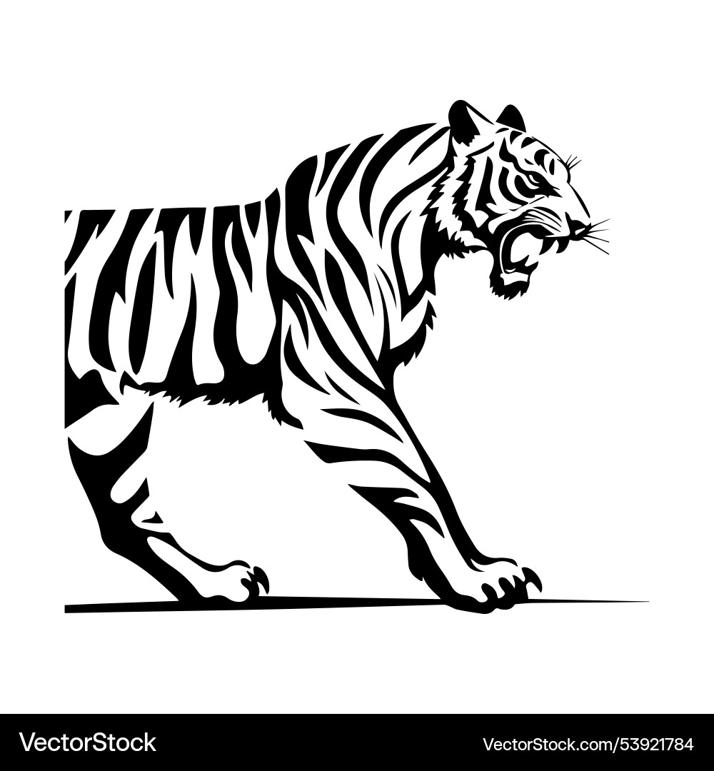 Roar Tiger schwarze Tinte Silhouette Nahaufnahme auf weiß Roar Tiger schwarze Tinte Silhouette Nahaufnahme auf weiß vektorbild