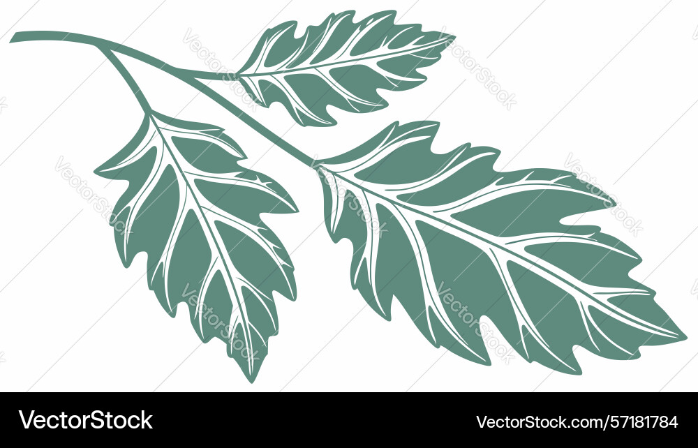 Stylized leafy branch outline design generative vector image