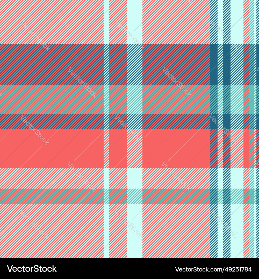 Texture check of fabric background pattern Vector Image