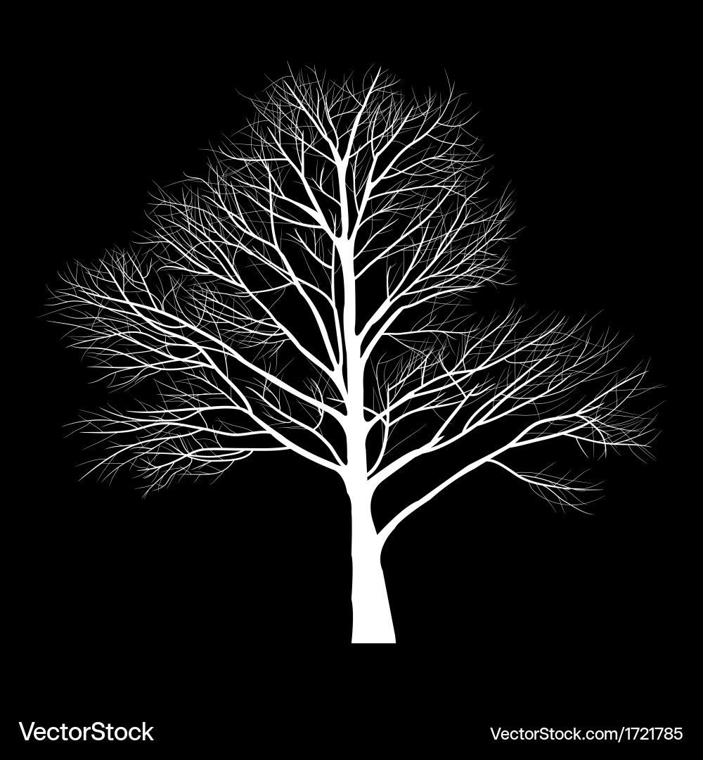 Trees with dead branch vector image