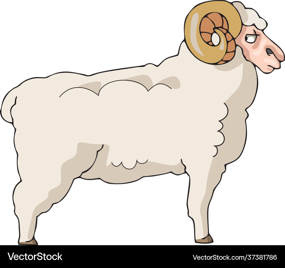 Sheep on white background cute cartoon Sheep on white background cute cartoon vector image