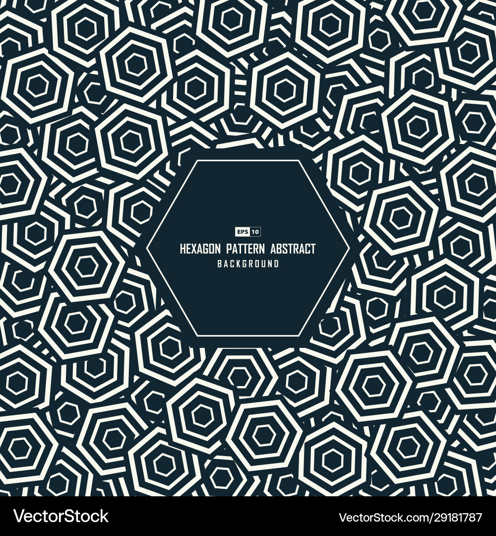 Modern Hexagonal Pattern vector image