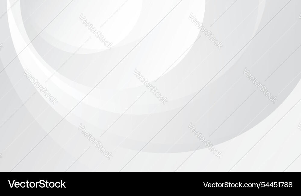 Abstract white background with lines curve vector image