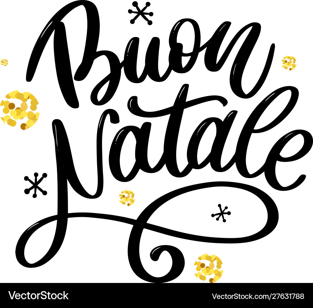 Buon natale merry christmas calligraphy template Buon natale merry christmas calligraphy template vector image